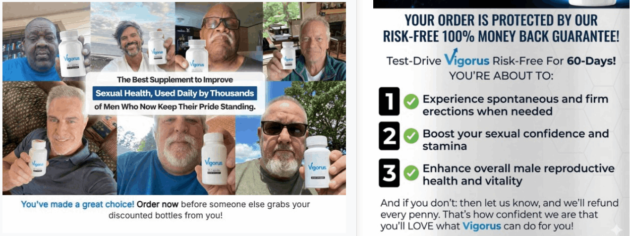 Harmo brain review
